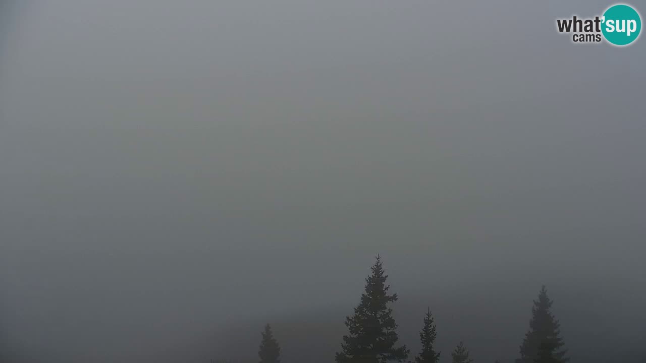 Webcam Koča na Golici (1582 m) – Slovenia