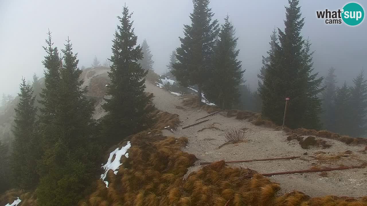 Webcam Chalet sur Golica (1582 m) – Slovénie