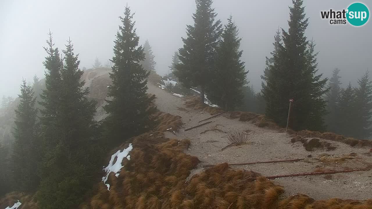 Spletna kamera Koča na Golici (1582 m) – Jesenice