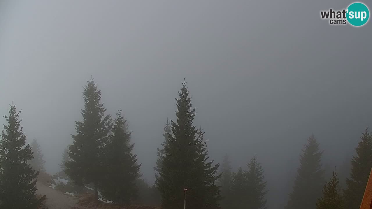 Webcam Koča na Golici (1582 m) – Slovenia