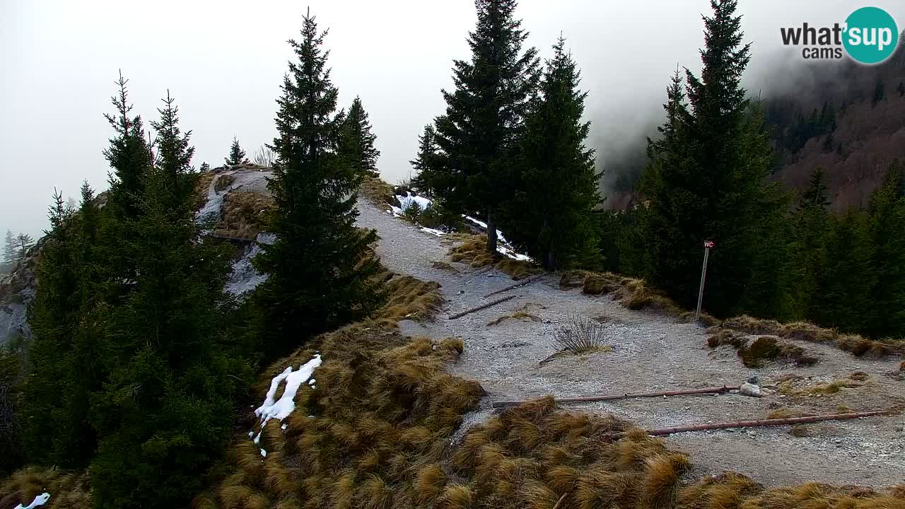 Spletna kamera Koča na Golici (1582 m) – Jesenice