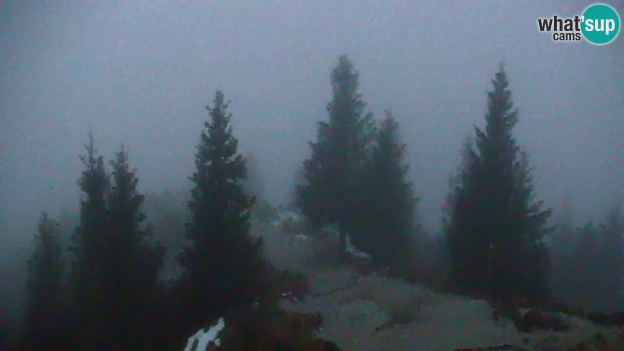 Koča na Golici Webcam (1582 m) – Slowenien