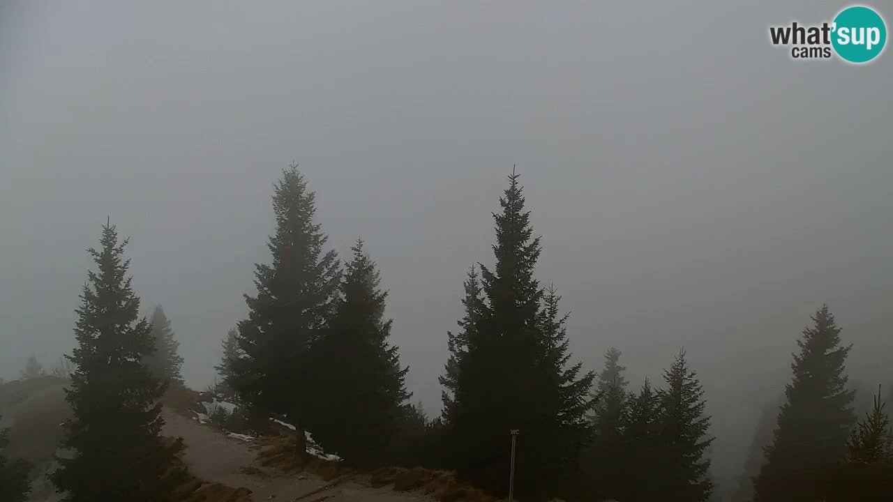 Koča na Golici Webcam (1582 m) – Slowenien