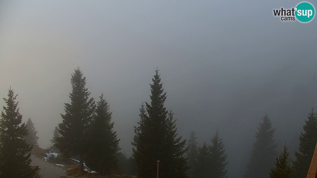 Webcam Koča na Golici (1582 m) – Slovenia
