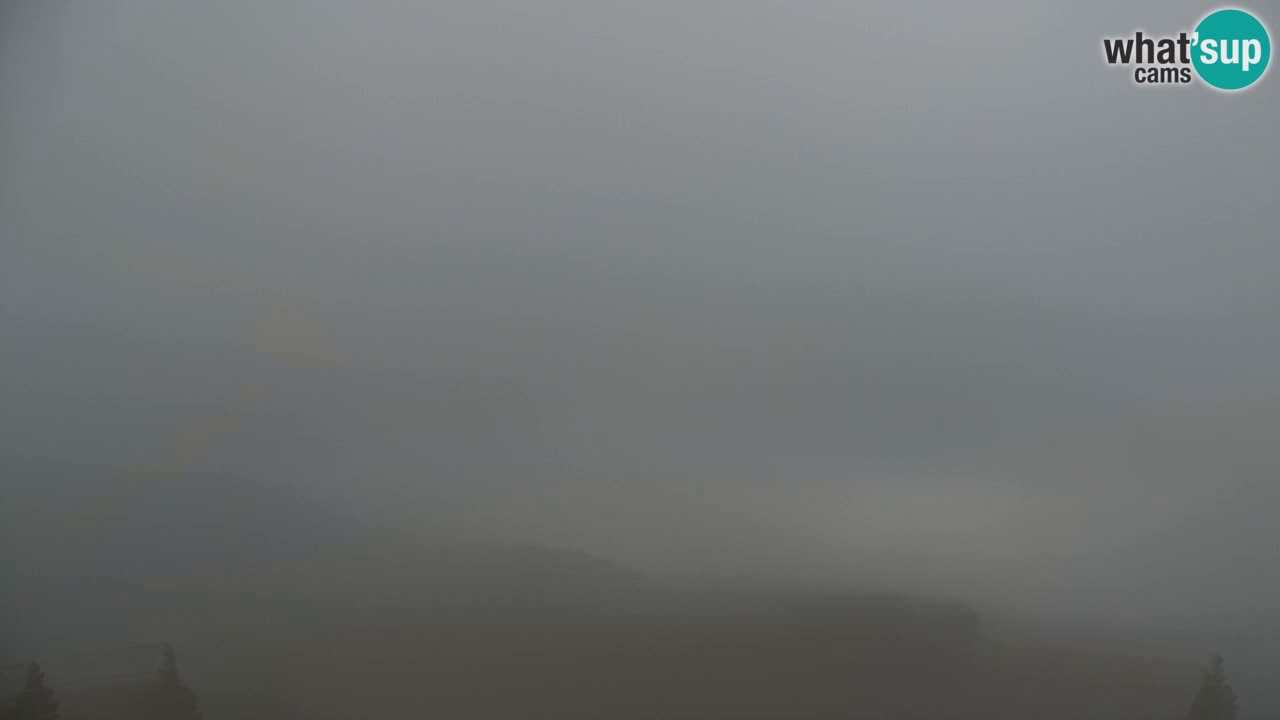 Webcam Koča na Golici (1582 m) – Slovenia