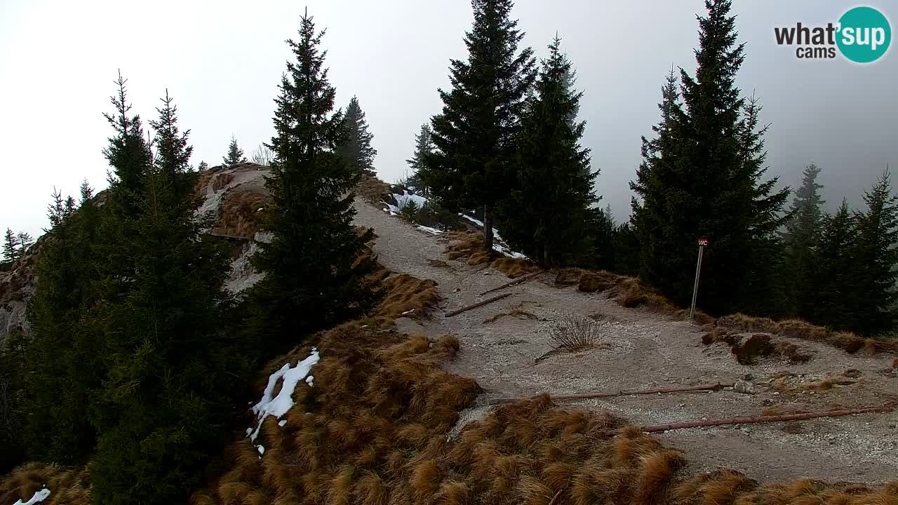 Webcam en Golica (1582 m) – Eslovenia