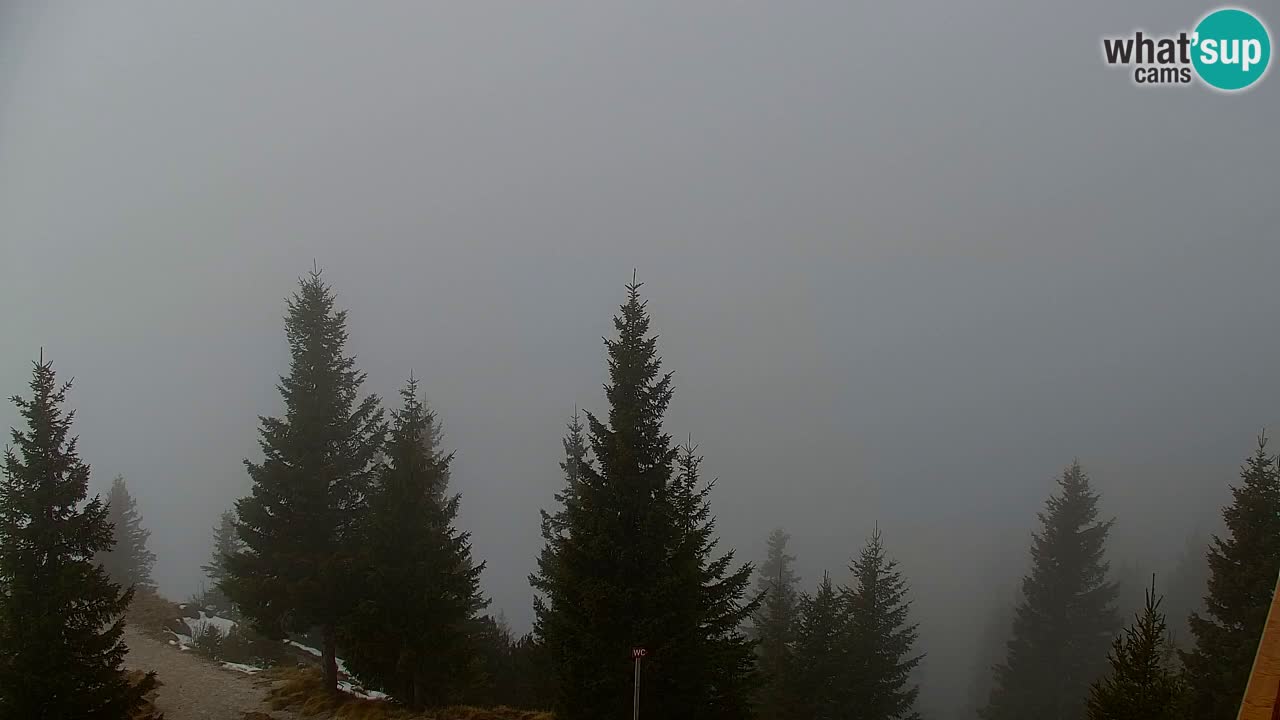 Webcam na Golici – Baita di montagna (1582 m) – Slovenia