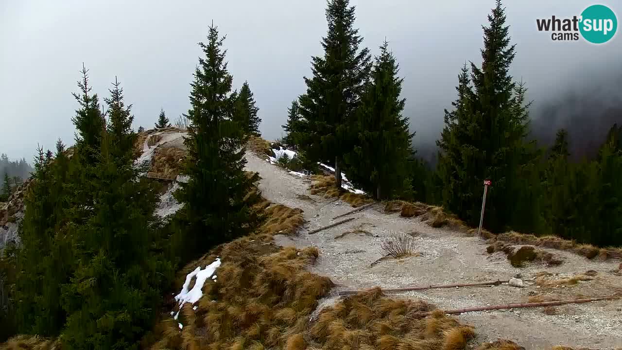 Koča na Golici Webcam (1582 m) – Slowenien