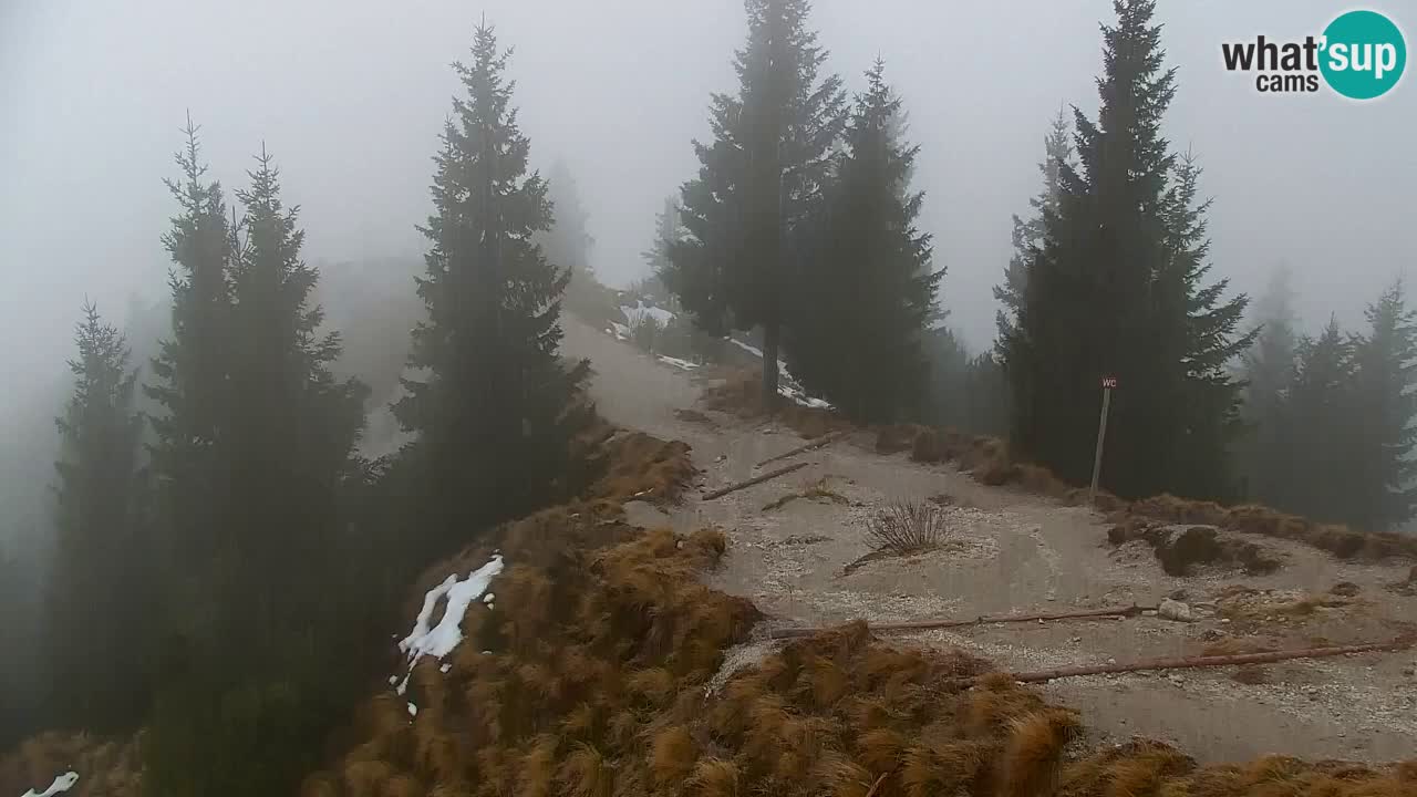 Webcam Chalet sur Golica (1582 m) – Slovénie