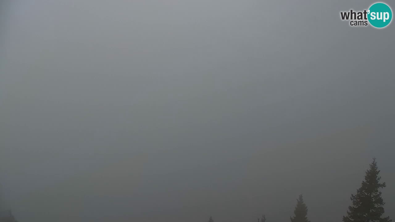 Webcam Koča na Golici (1582 m) – Slovenia