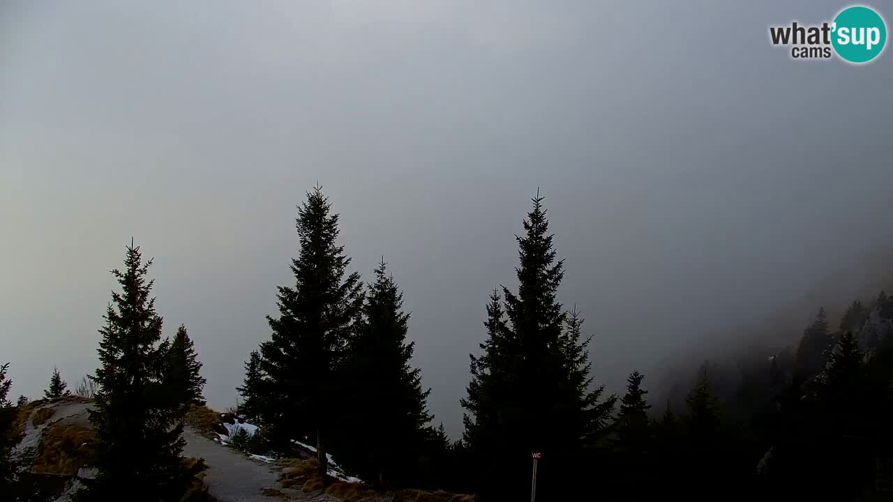 Webcam Koča na Golici (1582 m) – Slovenia