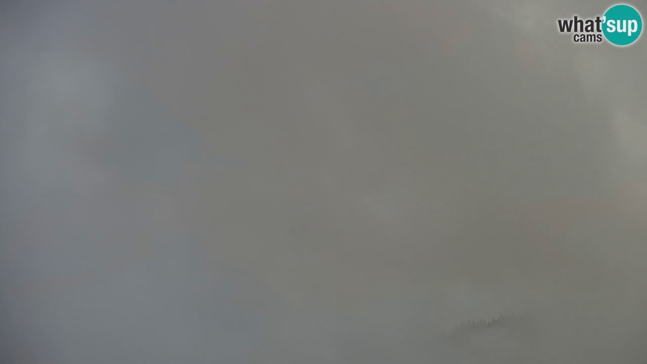 Koča na Golici Webcam (1582 m) – Slowenien