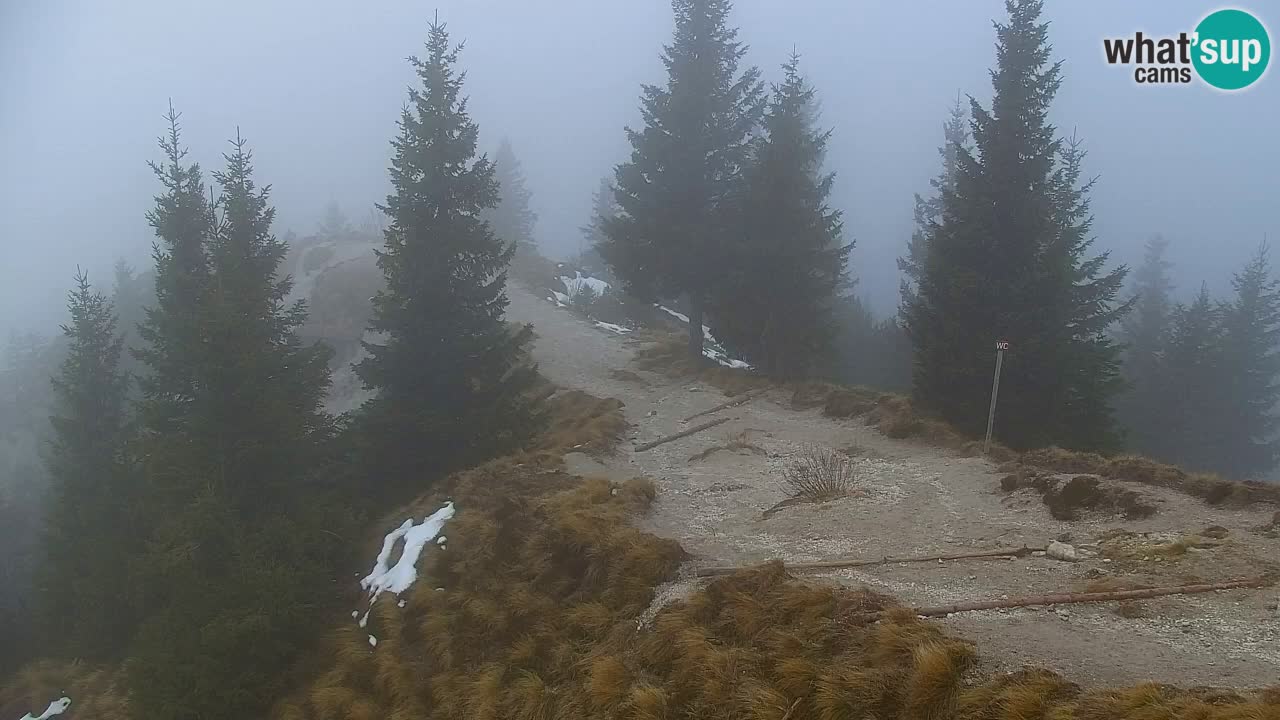 Webcam Koča na Golici (1582 m) – Slovenia