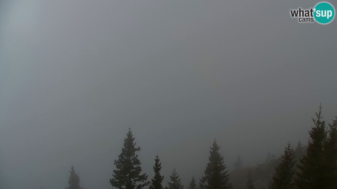 Koča na Golici Webcam (1582 m) – Slowenien