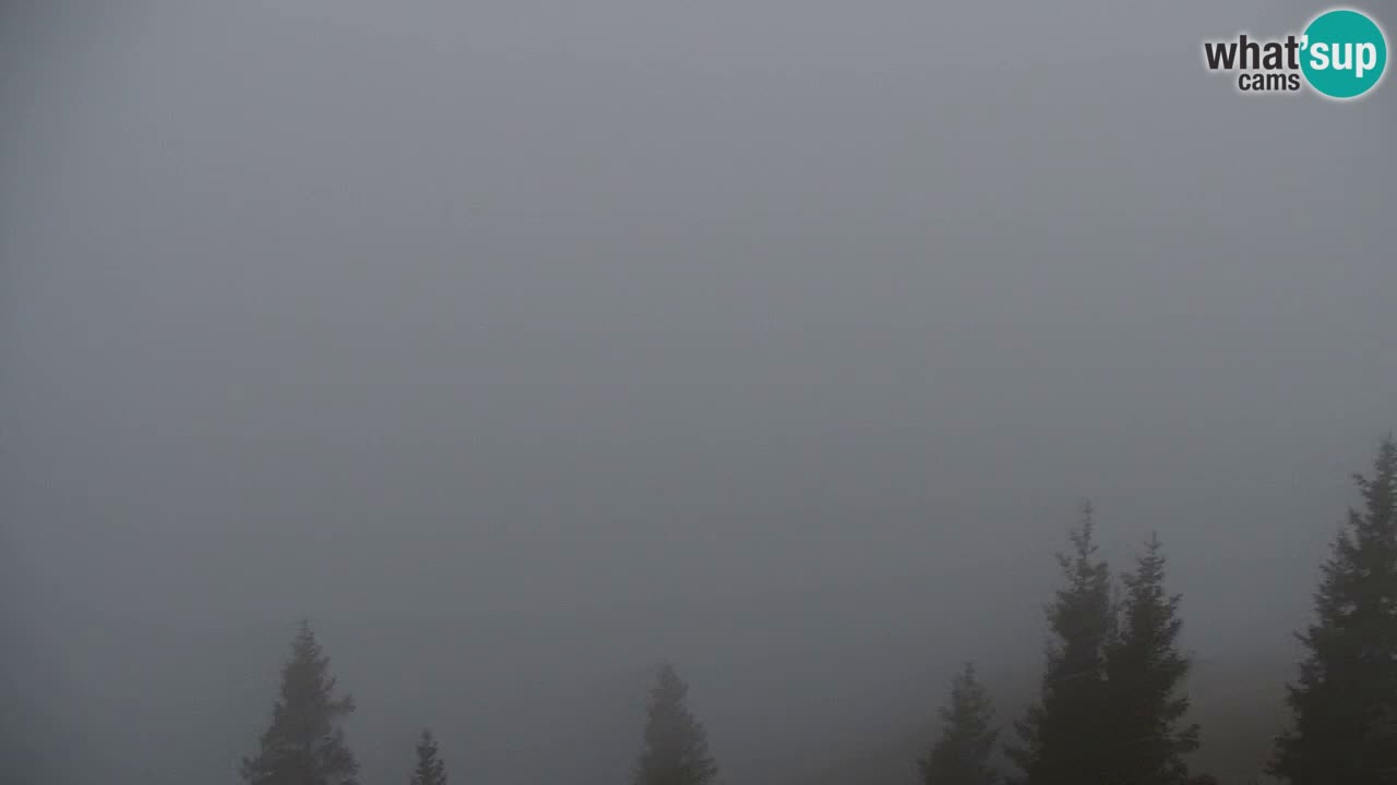 Koča na Golici Webcam (1582 m) – Slowenien