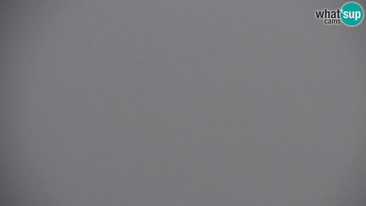 Web kamera Koča na Golici (1582 m) – Slovenija