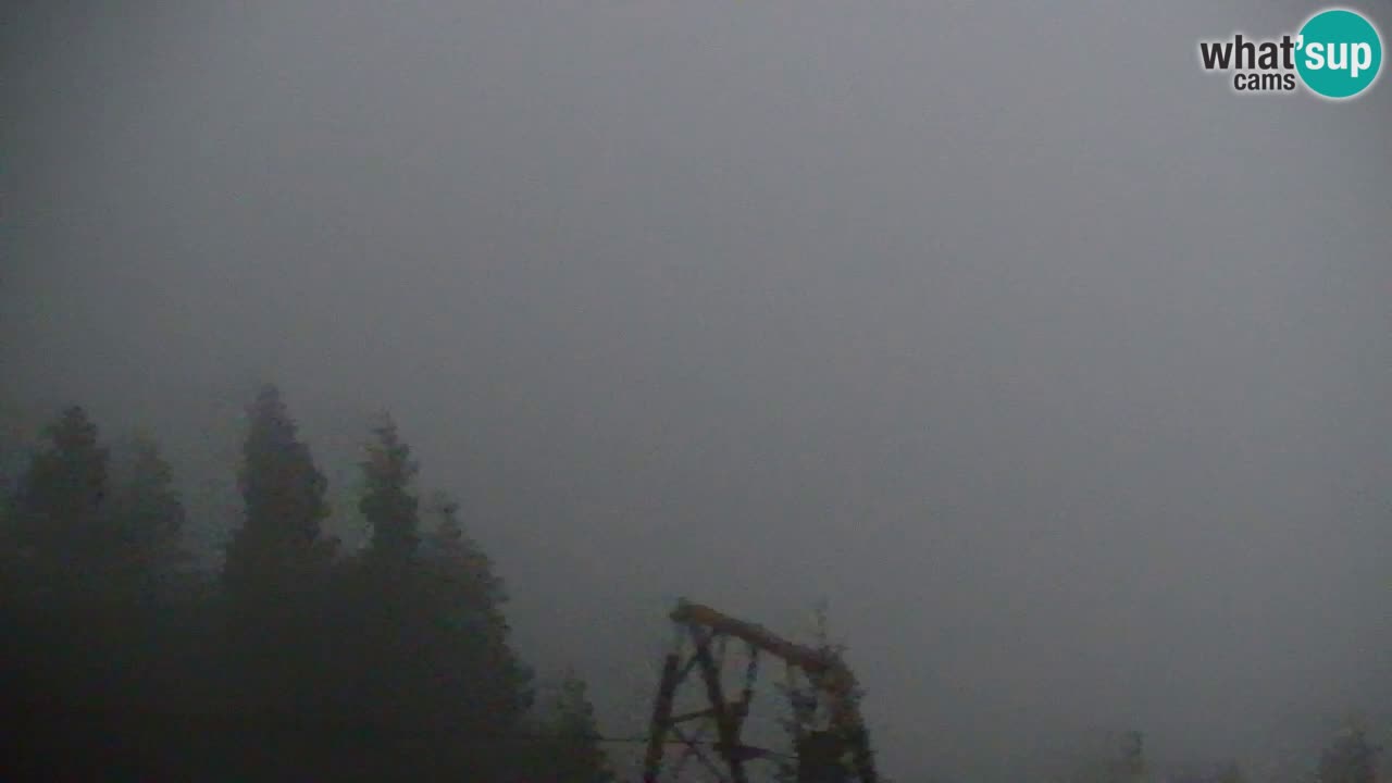 Web kamera Koča na Golici (1582 m) – Slovenija