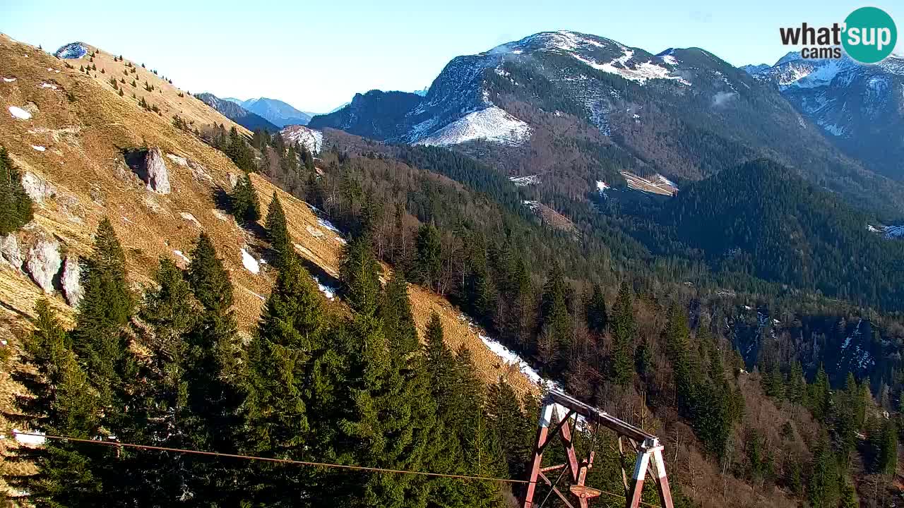 Koča na Golici Webcam (1582 m) – Slowenien