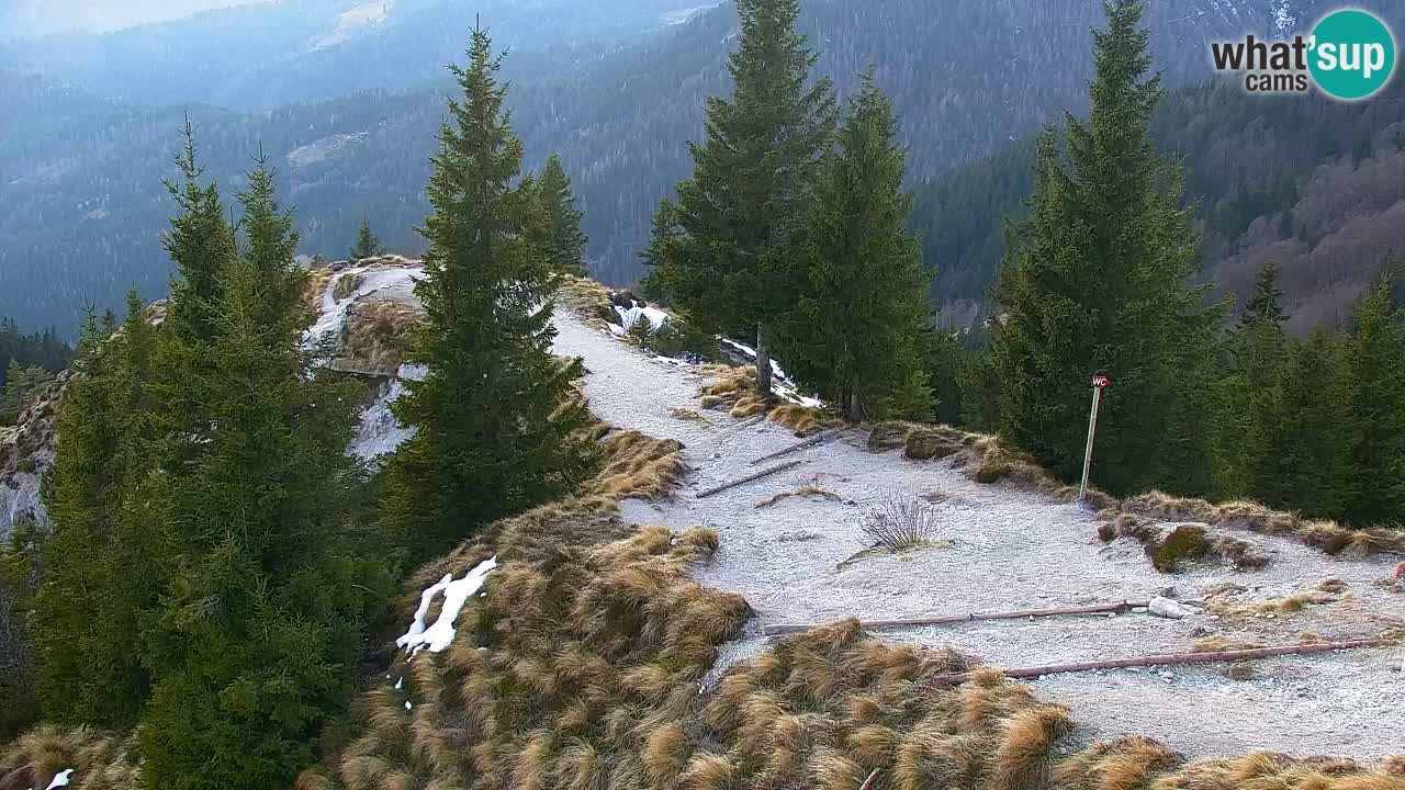 Webcam Chalet sur Golica (1582 m) – Slovénie
