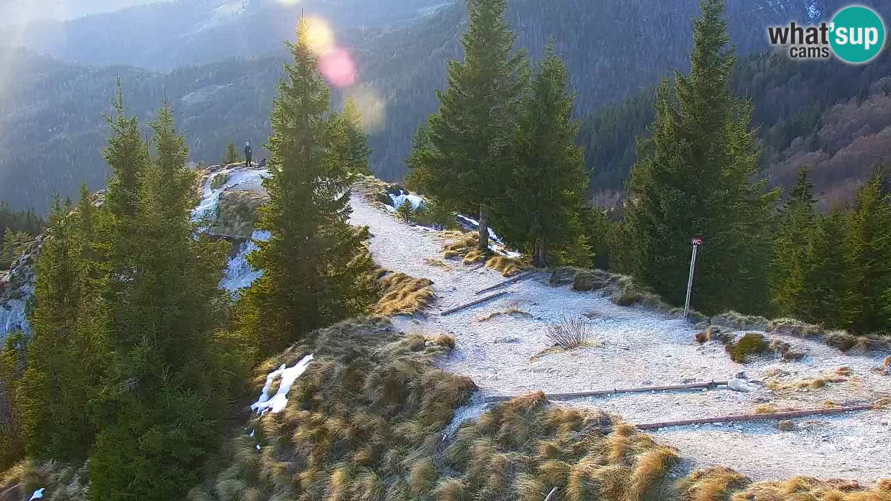 Webcam Koča na Golici (1582 m) – Slovenia