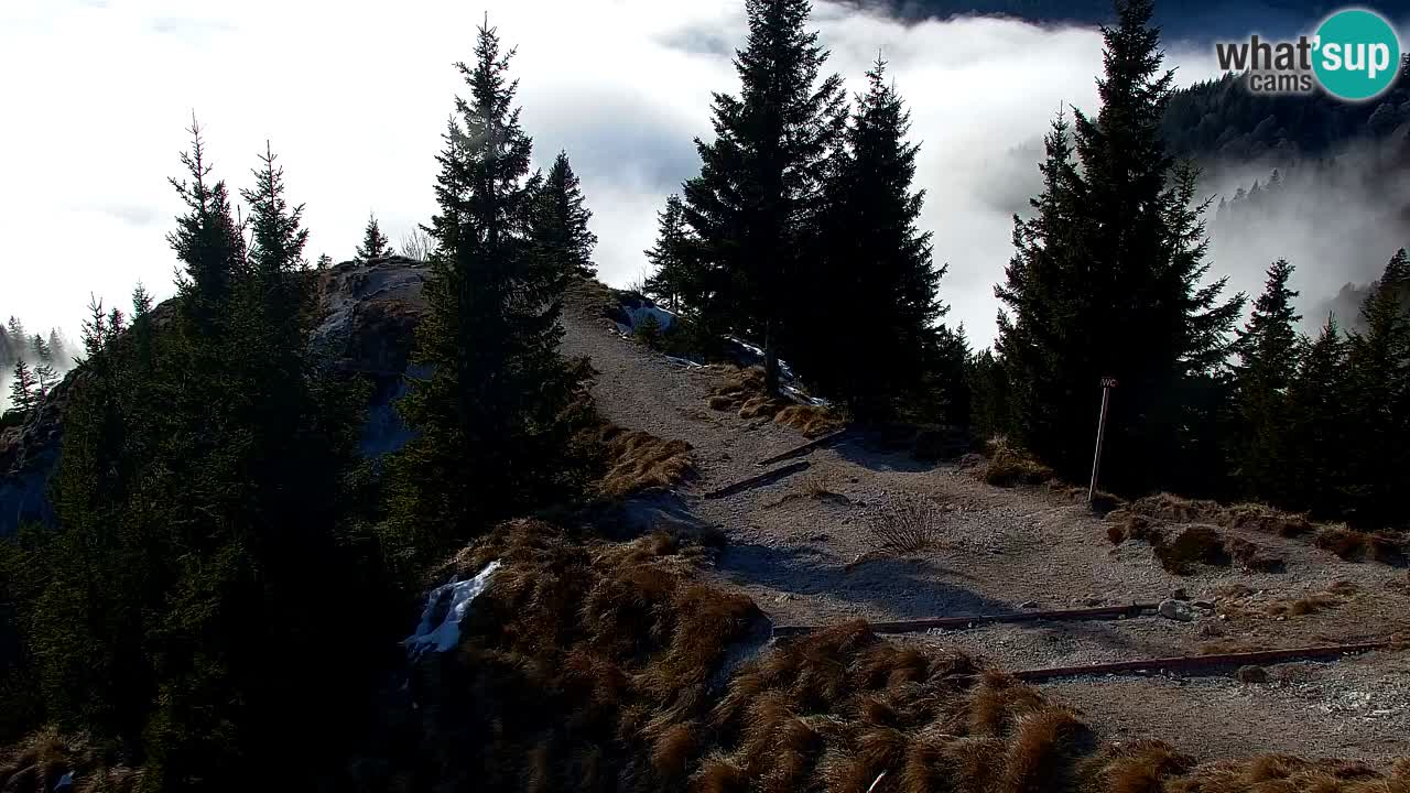 Spletna kamera Koča na Golici (1582 m) – Jesenice