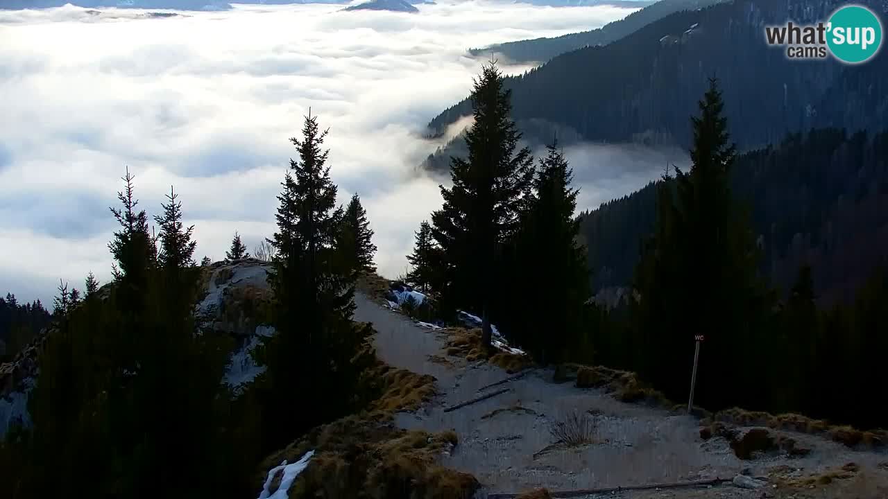 Webcam Koča na Golici (1582 m) – Slovenia