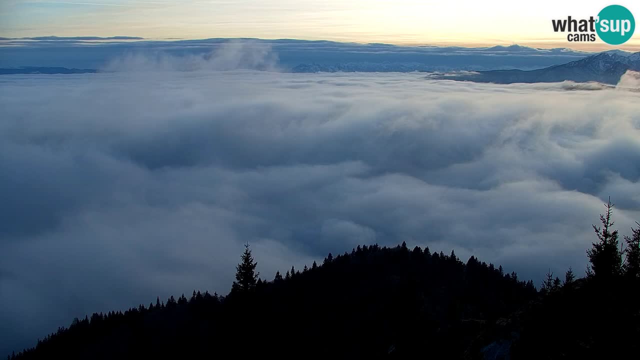 Webcam Koča na Golici (1582 m) – Slovenia