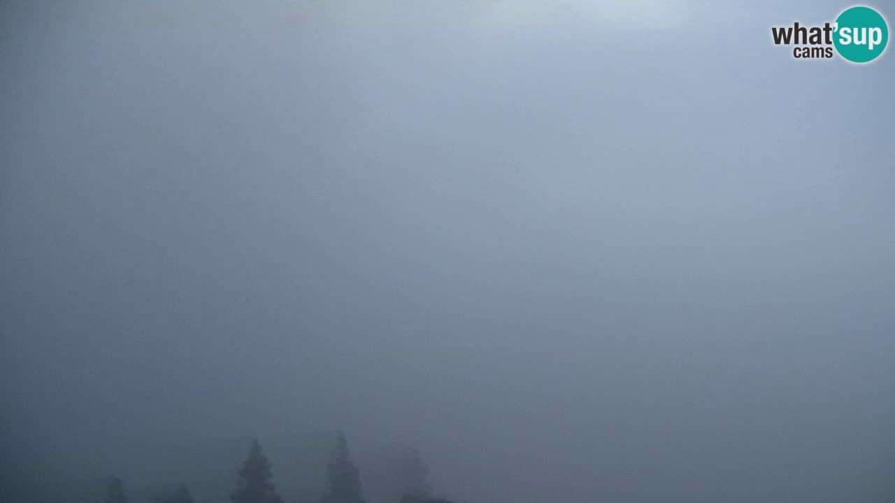 Web kamera Koča na Golici (1582 m) – Slovenija