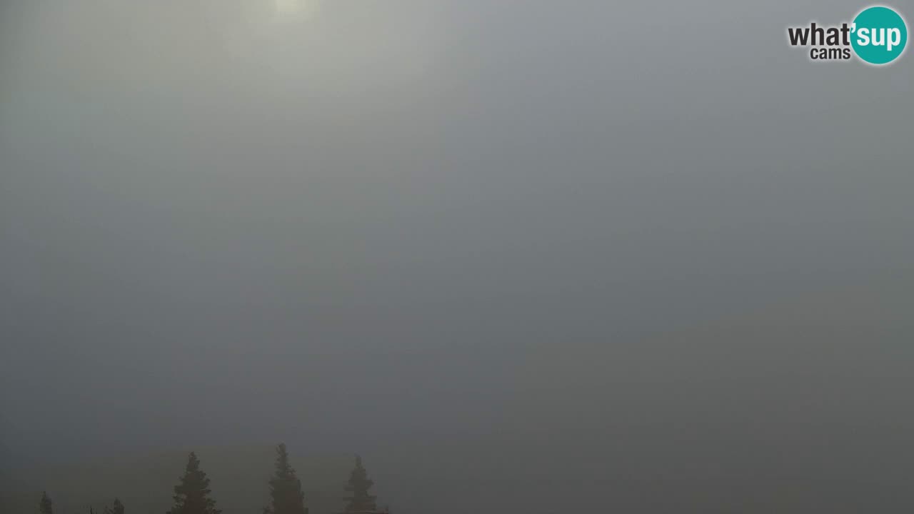 Web kamera Koča na Golici (1582 m) – Slovenija