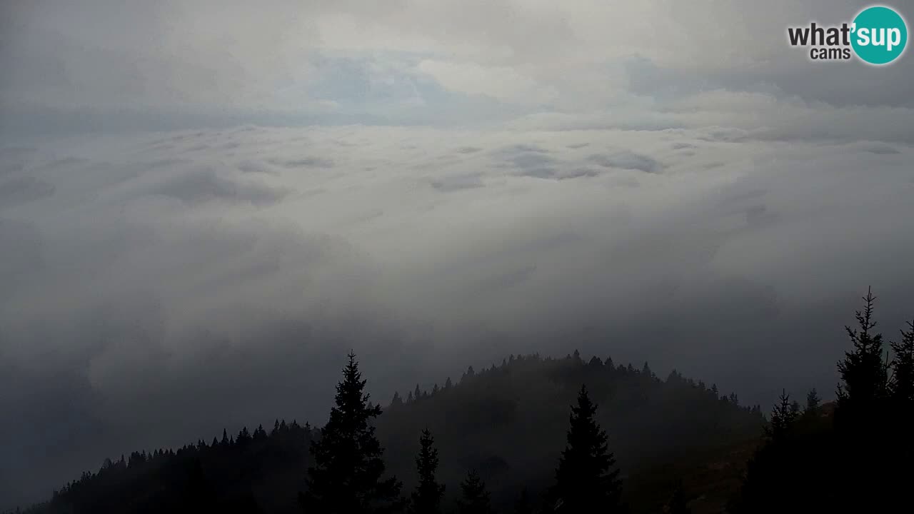 Web kamera Koča na Golici (1582 m) – Slovenija