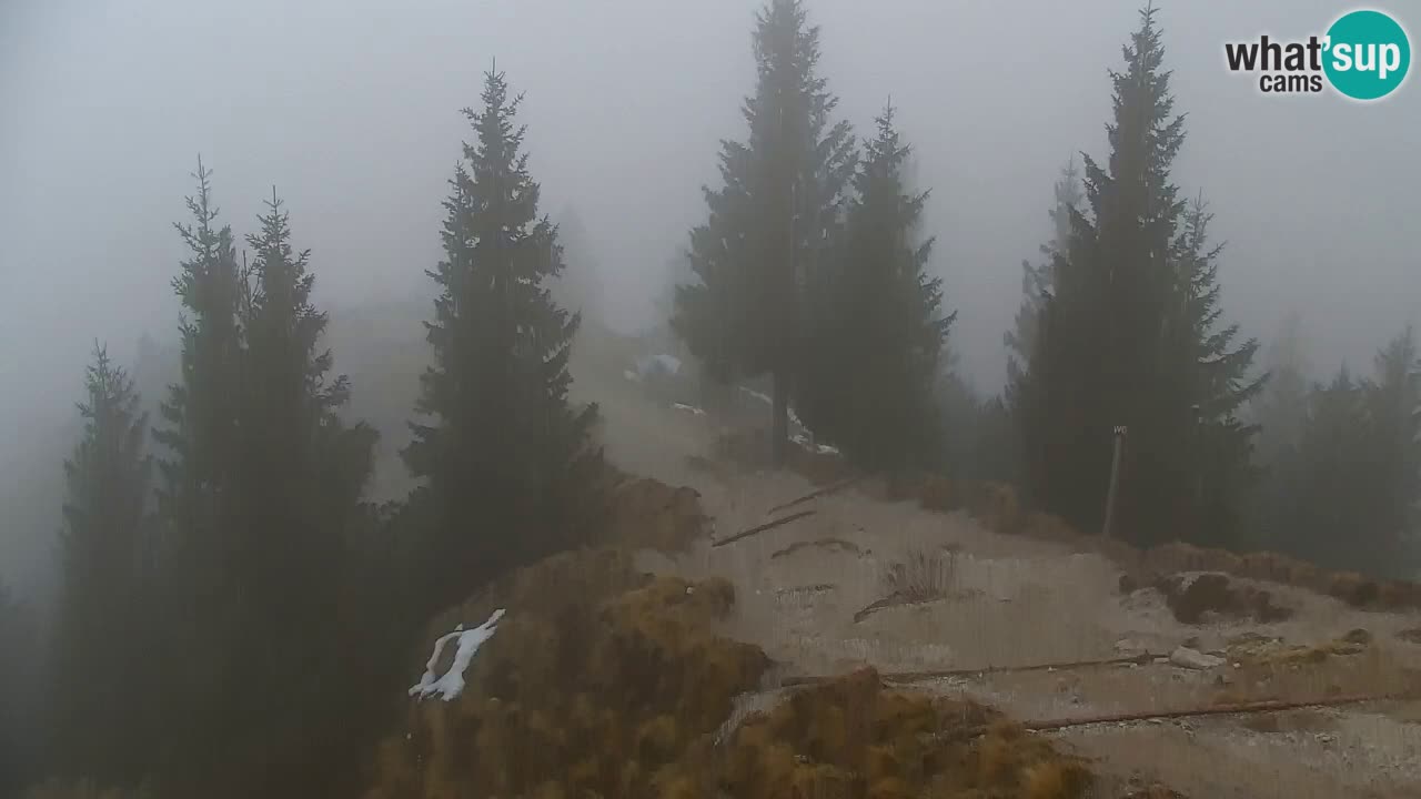 Webcam Koča na Golici (1582 m) – Slovenia