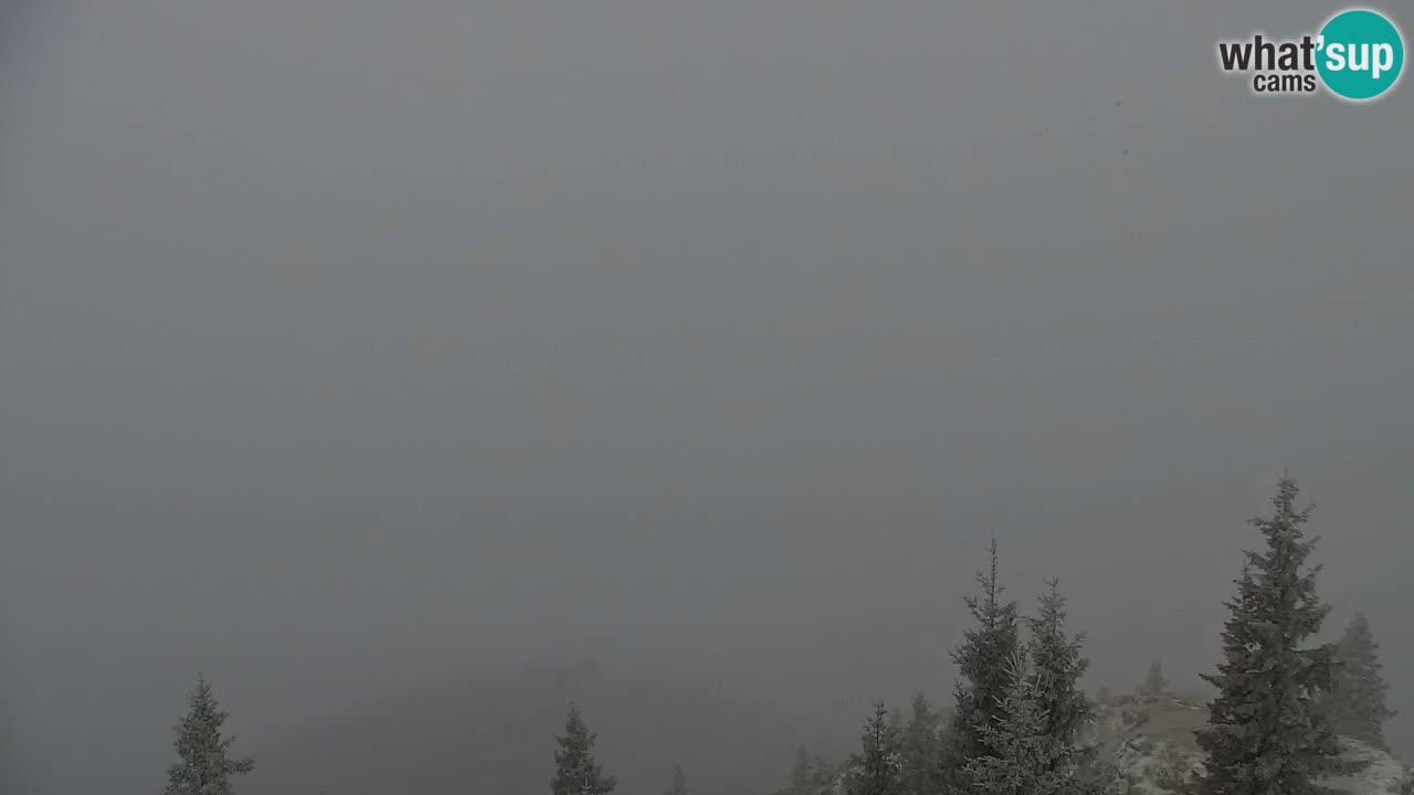 Webcam na Golici – Baita di montagna (1582 m) – Slovenia