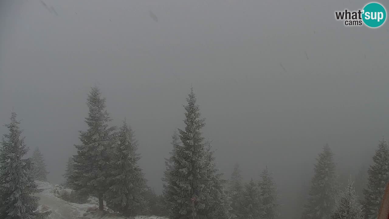 Webcam Koča na Golici (1582 m) – Slovenia