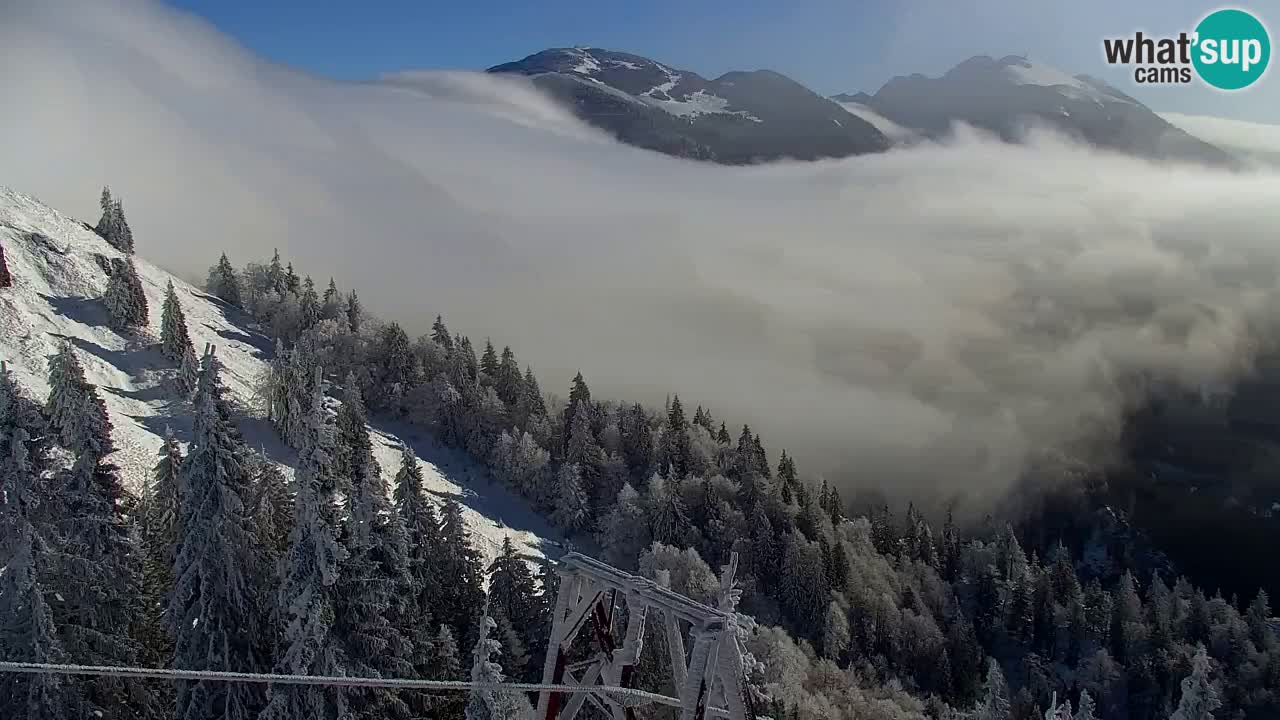 Webcam Koča na Golici (1582 m) – Slovenia