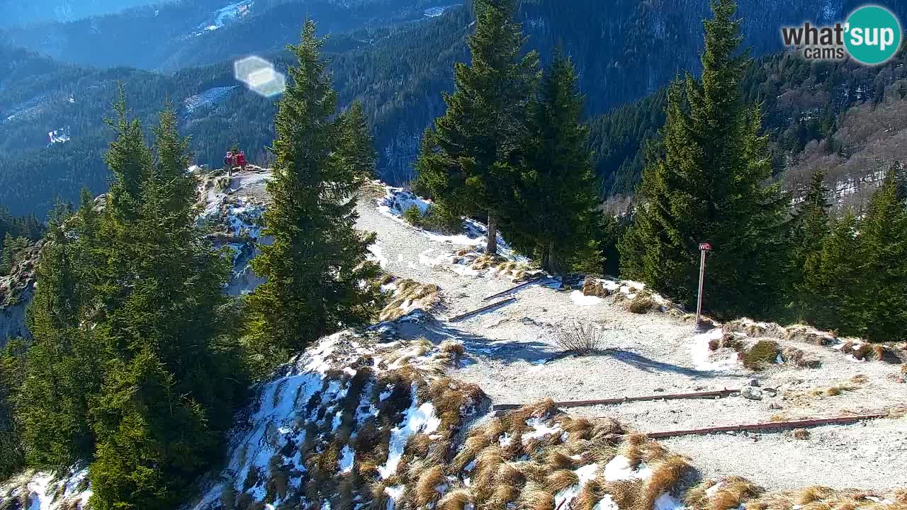Webcam Koča na Golici (1582 m) – Slovenia