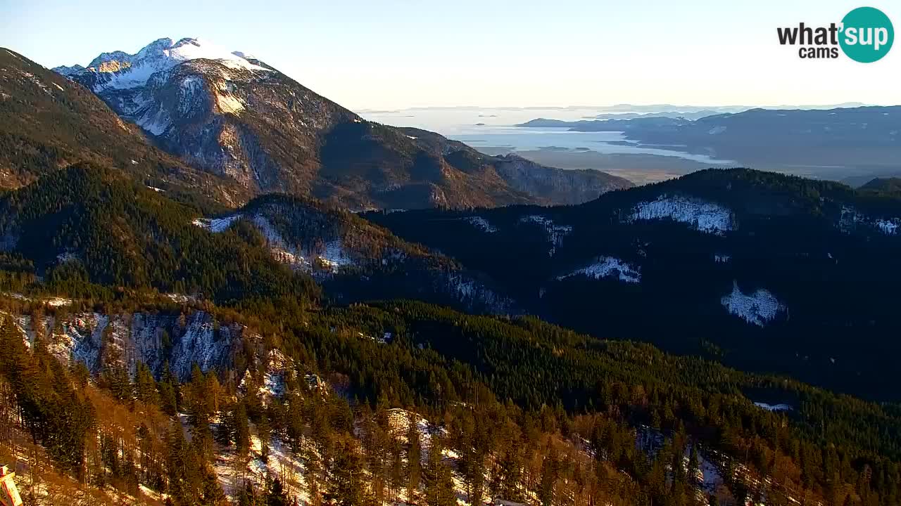 Webcam Koča na Golici (1582 m) – Slovenia