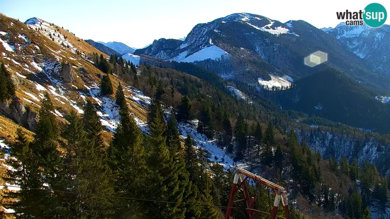 Koča na Golici Webcam (1582 m) – Slowenien