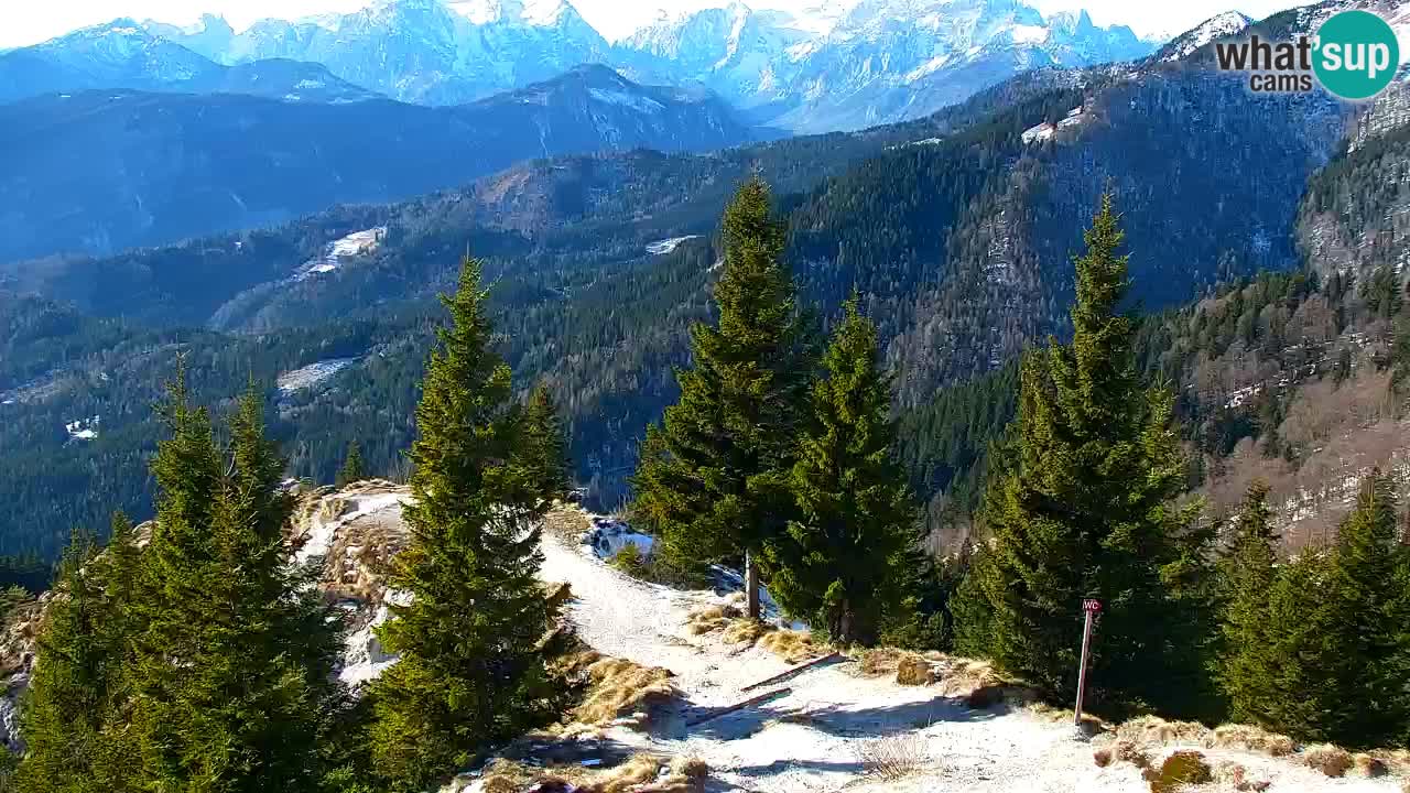 Koča na Golici Webcam (1582 m) – Slowenien