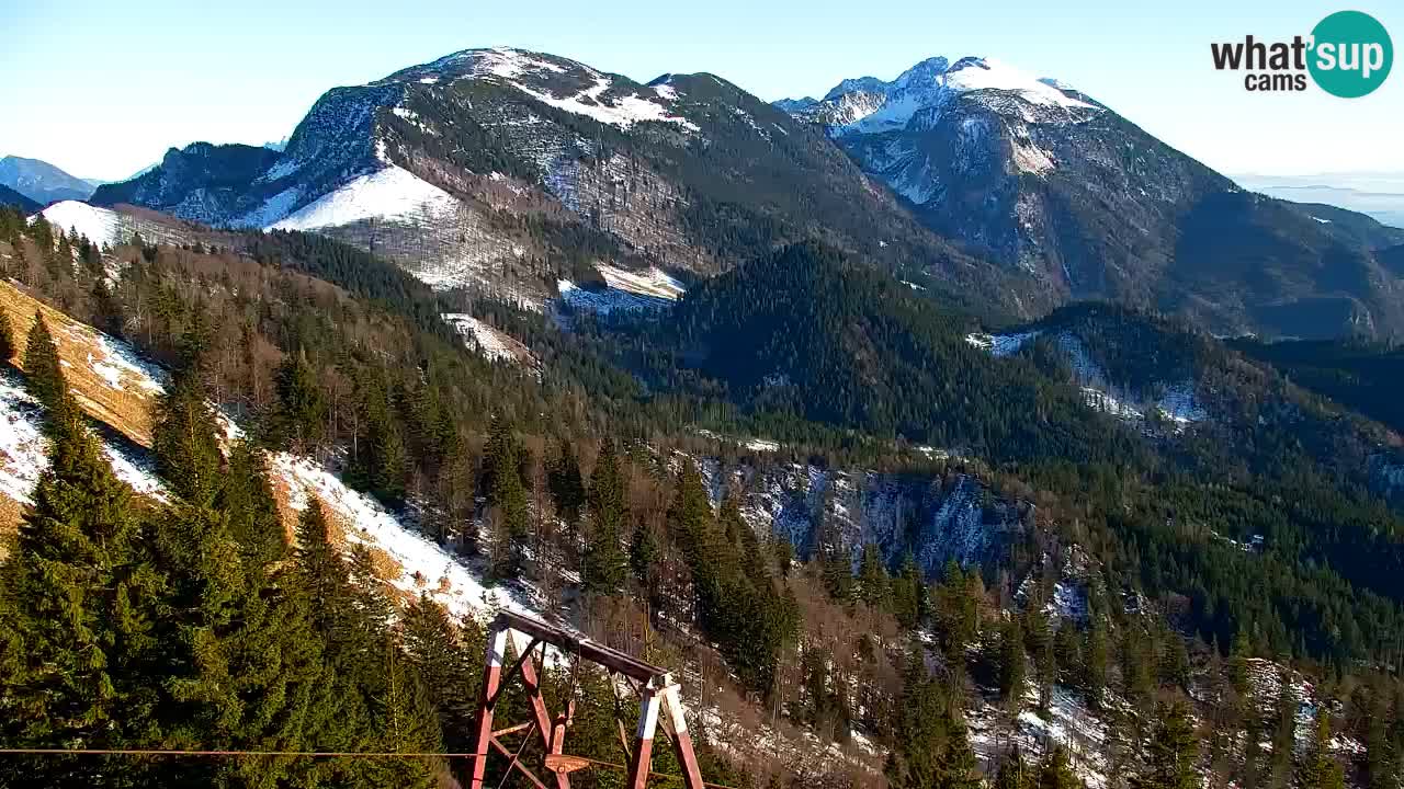 Koča na Golici Webcam (1582 m) – Slowenien