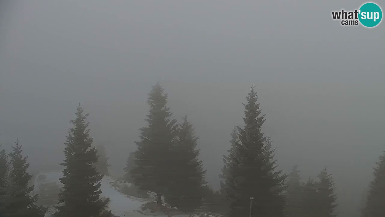 Webcam Koča na Golici (1582 m) – Slovenia