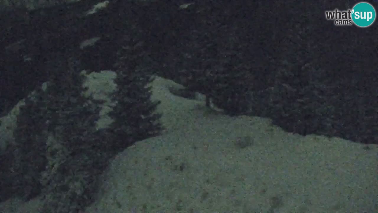 Webcam Chalet sur Golica (1582 m) – Slovénie