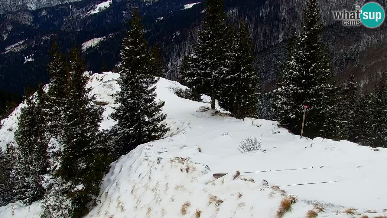Webcam na Golici – Baita di montagna (1582 m) – Slovenia