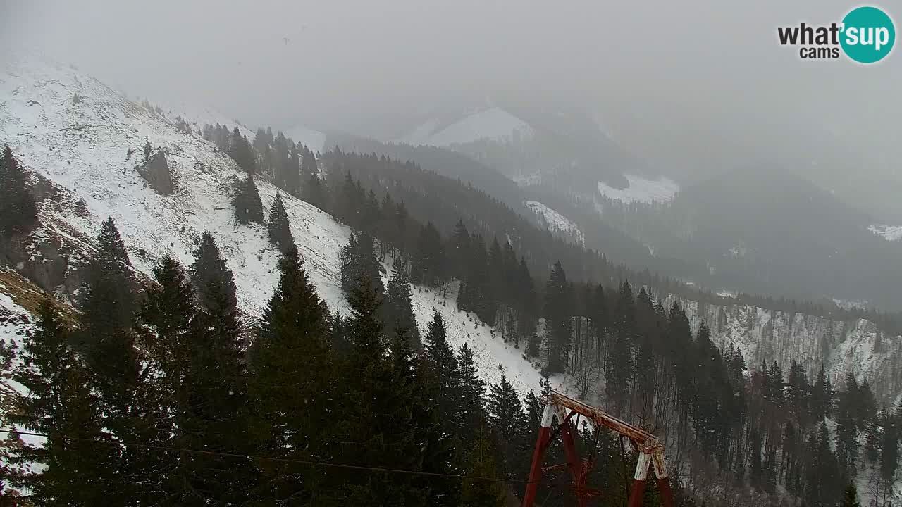Spletna kamera Koča na Golici (1582 m) – Jesenice