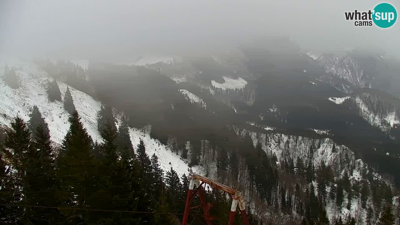 Webcam Koča na Golici (1582 m) – Slovenia