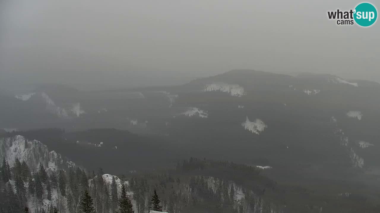 Web kamera Koča na Golici (1582 m) – Slovenija