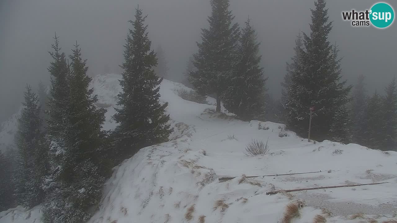 Webcam Koča na Golici (1582 m) – Slovenia