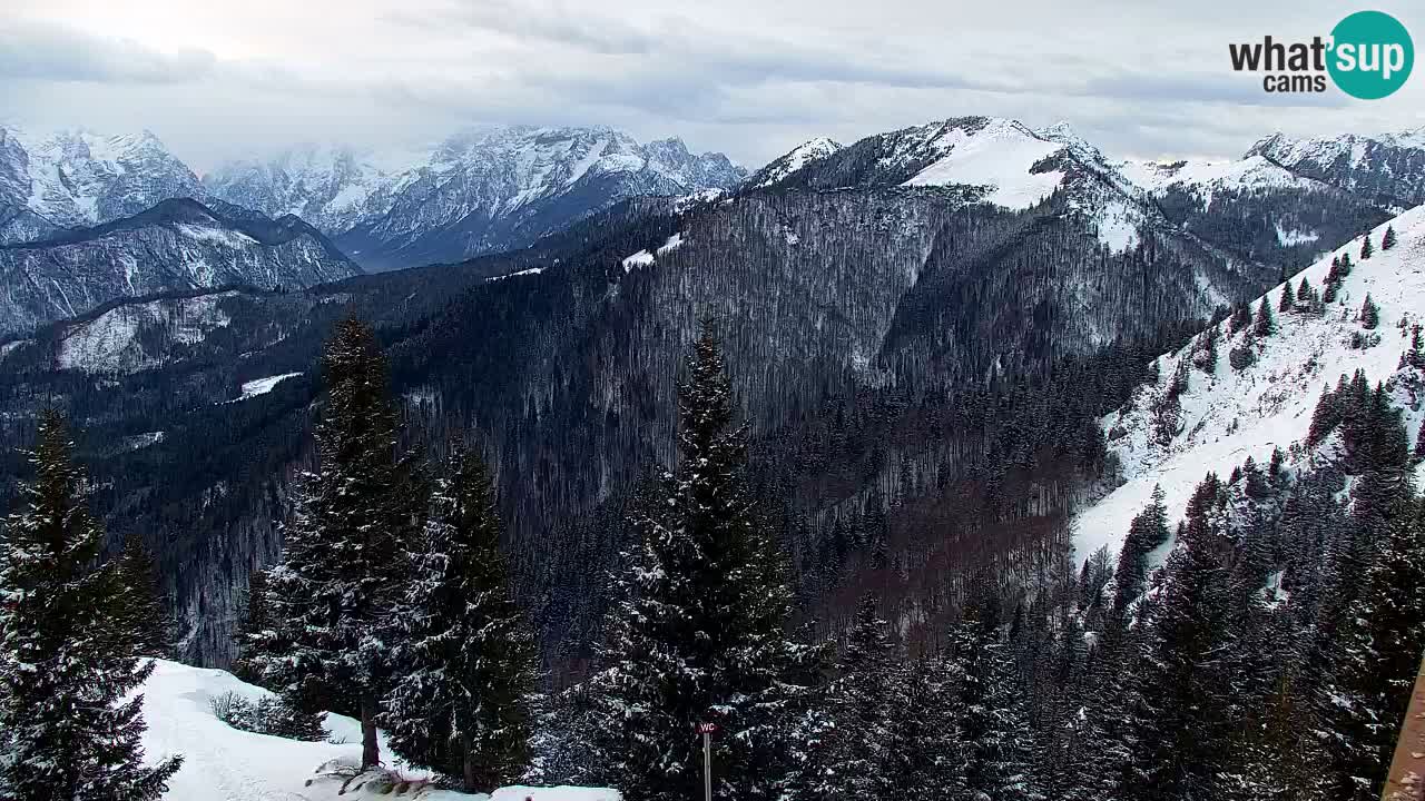 Webcam Koča na Golici (1582 m) – Slovenia