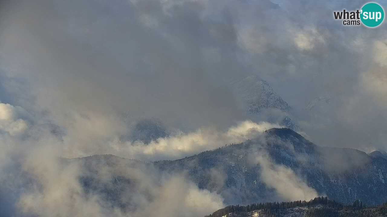 Webcam Koča na Golici (1582 m) – Slovenia