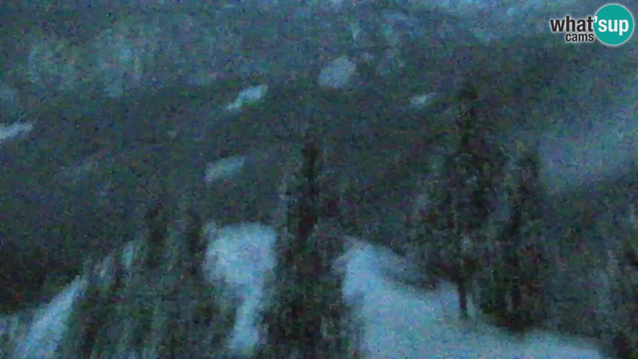 Webcam Koča na Golici (1582 m) – Slovenia