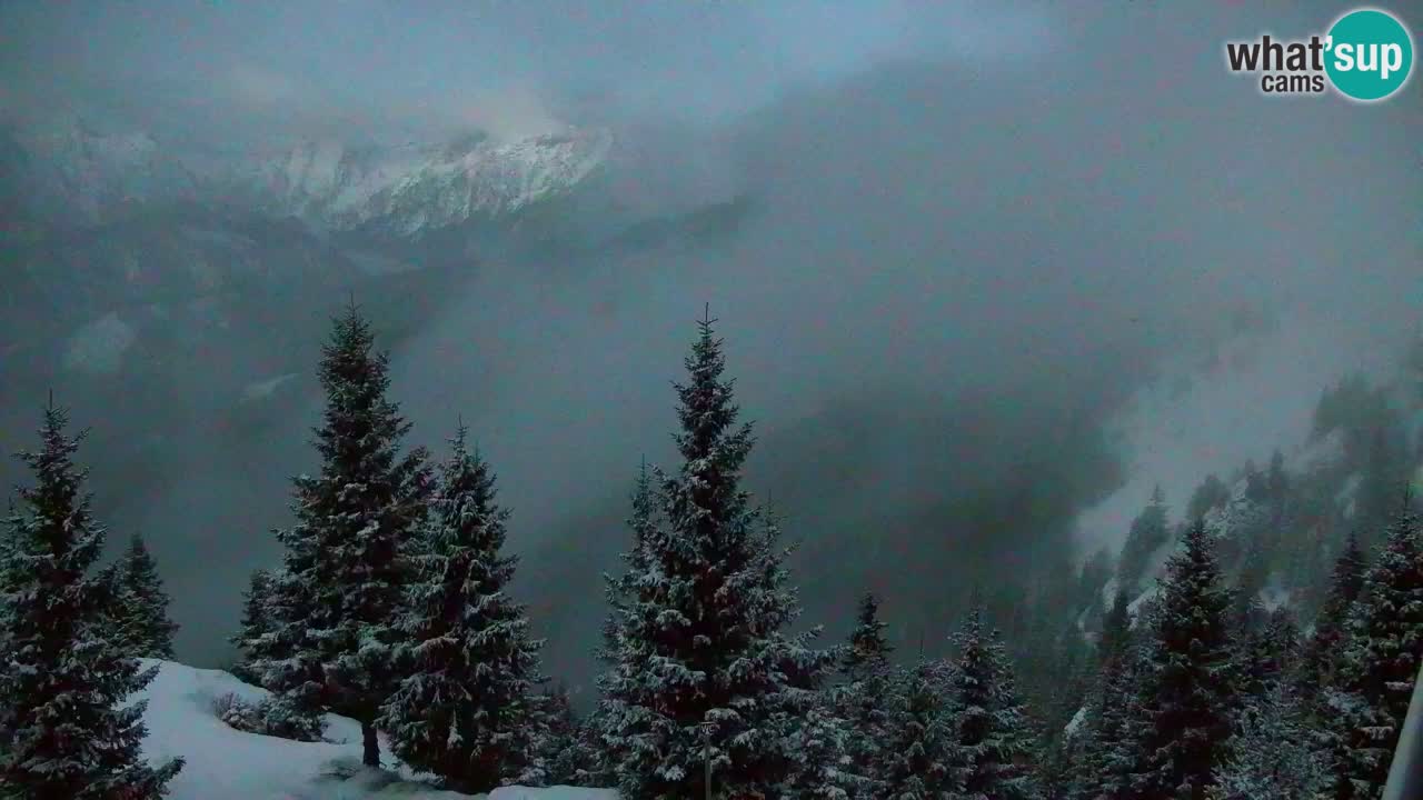 Webcam Koča na Golici (1582 m) – Slovenia